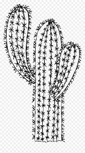 Can you think up any more off the top of your head? 6 Cactus Drawing 2 Line Art Hd Png Download Vhv