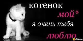 скачать бесплатно музыку григорий лепс я тебя не люблю Https Xn 80adh8aedqi8b8f Xn P1ai D0 Bf D1 80 D0 Be D0 B8 D0 B7 D0 B2 D0 B5 D0 B4 D0 B5 D0 Bd D0 B8 D0 B5 D0 Bc D0 Be D0 B9 D0 Bb D1 8e D0 B1 D0 B8 D0 Bc D0 B5 D0 Bd D1 8c D0 Ba D0 B8 D0 B9 D1 82 D1 8b D0 Ba D0 Be D1 82 D0 B8 D0 Ba D1 8f D1 82 D0 B5 D0 B1 D1 8f D0 Be D1 87 D0 B5 D0 Bd D1 8c D0 Bb D1 8e D0 B1 D0 Bb D1 8e