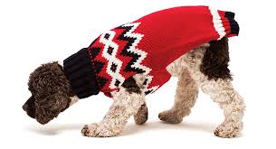 Barkplace has a premier doggie playcare, dog grooming, do it yourself dog wash, dog boutique in boston's south end. Animal Instinct Five Boston Pet Stores To Check Out