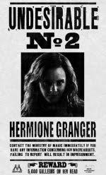 Affiche Indesirable Hermione Poster Harry Potter Harry Potter Harry Potter Bricolage