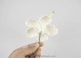 Popular flowering hibiscus of good quality and at affordable prices you can buy on aliexpress. Gum Paste Hibiscus Flower Tutorial Decorated Treats