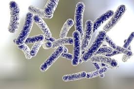 This page covers what legionella is, where it grows, and how it spreads, along with its long term impact on health. Beware Of Legionnaire S Risk When Reopening Buildings Ehs Daily Advisor