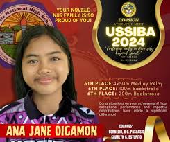 Novele National High School