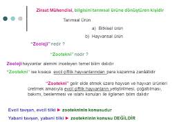 Hayvan Yetistirme Prof Dr Tulin Aksoy Ppt Indir