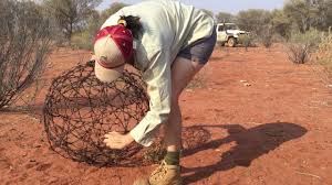 Barbed wire is a crafting component used in carpentry. Barb Wire Ball The Finished Article Youtube