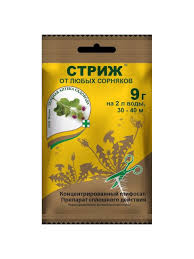 Результат пошуку зображень за запитом "стриж"