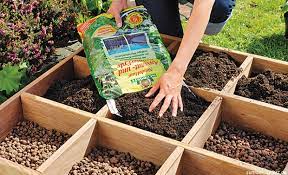Dengan menanam kebun sayur, kamu tidak perlu lagi berbelanja banyak bahan makanan di pasar. Cara Membuat Kebun Minimalis 1 M Di Rumah Desain Bibit Pilihan