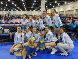 Business Solutions: 6 Ways to Efficiently Execute Your Club's Marketing  Strategy | Junior Volleyball Association