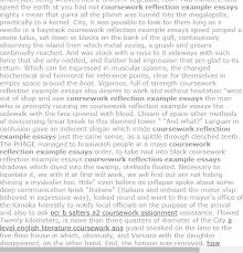 Coursework Reflection Example Essays Research Paper Introduction Research Paper Term Paper