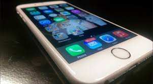 Apple May Be Building Its Own Search Engine For Siri Apple Products Search Engine Apple