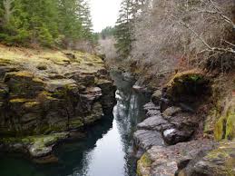 You have nothing to lose! Molalla River Valleymountainediblesoundproject