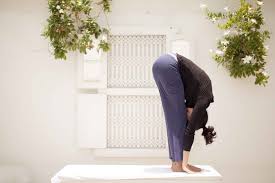 Image result for IMAGES OF padahastasana