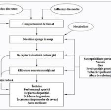 593 fotografii gratuite de din punct de vedere istoric. AdicÅ£ia De NicotinÄƒ Din Punct De Vedere Biologic AdaptatÄƒ DupÄƒ Download Scientific Diagram