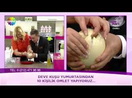 Devekusu Yumurtasindan Omlet Youtube