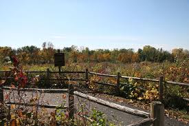 Lyman Woods In Downers Grove Courtesy Downers Grove Park District Chicago Botanic Garden Community Gardening Natural Ecosystem