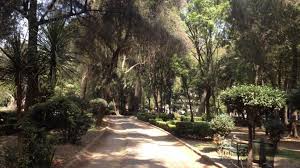 He achieved great fame in his native land, to the point of being. The Jardin Ramon Lopez Velarde Mexico City Park And Historic Sitethecity Mx