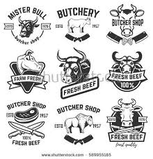  42 Ide Rooster Ayam Ilustrasi Burung Desain