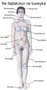 If you would like to know the hindi name of any other body, you can contact us or leave your question in the comment section. Female Body Parts Name In Hindi Body Part Name In Hindi English A A A A A A A A A Name Of Body Part Parts Like Below Given List Contains
