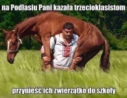 Sborna pożegnała się z mś (galeria) Nowe Najglupsze Memy O Wsi I Rolnikach Z Podlasia Znowu Sie Smieja Zobacz Najlepsze Smieszne Obrazki 03 07 2021 Dziennik Baltycki
