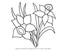 Ausmalbild Narzissen 4 Pdf Blumen Ausmalen Blumen Ausmalbilder Malvorlagen Blumen