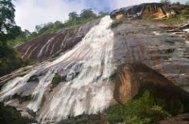 Check spelling or type a new query. Hutan Lipur Negeri Kelantan Jabatan Perhutanan Semenanjung Malaysia