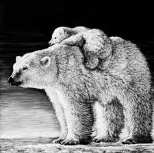 Pin On Scratchboard Wildlife Artwork