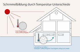 Richtig lüften mit einer lüftungsanlage. Keller Richtig Luften Schimmelbildung Vermeiden