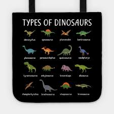 Kids Types Of Dinosaurs T Shirt Dino Identification Tee