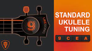Pin By Brandinia On Ukulele Video Ukulele Tuning Ukulele Tutorial Ukulele Tuner
