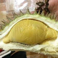 Sentiasa jamin harga paling rendah. Durian Batu Kurau Reviews Facebook
