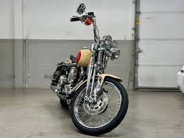 Image result for Silver 1994 FXSTS