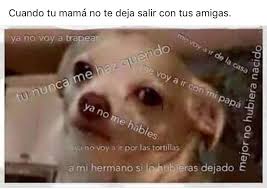 Mama No Deja Salir Memes Lol Historical Figures