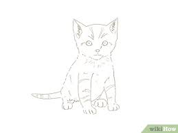 Something, to create a drawing you'll be proud of without having to wait months for decent results. 4 Ways To Draw A Kitten Wikihow