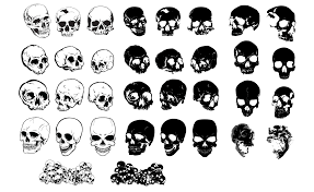 Vector Skulls Google Search Simple Skull Pencil Illustration Graphic Projects