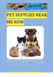 Luxury puppies is a service committed to helping responsible breeders place their puppies with caring with a screened and vetted network of responsible breeders, luxury puppies makes fetching your new best friend a simple and enjoyable experience. Calameo Pet Supplies Near Me Now Pet Supplies Near Me Now The Best Pet Store Near Me Now