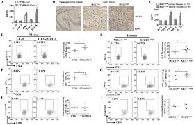 These are eight early warning signs of cancer in your cat: Muc1 Induced Immunosuppression In Colon Cancer Can Be Reversed By Blocking The Pd1 Pdl1 Signaling Pathway