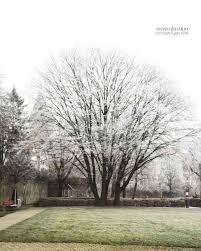 Dieser pinnwand folgen 1226 nutzer auf pinterest. Winter Photo Mix 2018 2019 Www Ulm Uno