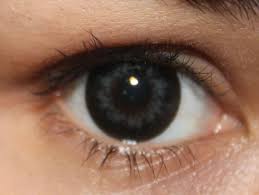 What Eye Color Should You Really Have Dark Grey Eyes People With Black Eyes Gray Eyes