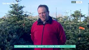 More images for how to make christmas tree last longer » How Long Do Christmas Trees Last Expert Reveals Tips To Make Your Real One Live Longer Chronicle Live