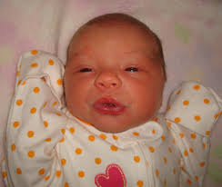 Blue Hill Today: October 2010