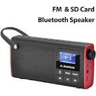 3-in-1 Portable Transistor FM Radio, Battery Radio with Bluetooth Speaker and MP3 SD Card Player SP850 Avantree