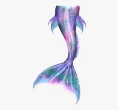 See more ideas about mermaid, mermaid art, mermaids and mermen. Mermaid Tails Png Mermaid Tail Drawing Transparent Png Transparent Png Image Pngitem