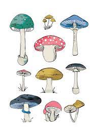 Girly Mushrooms In 2020 Mushroom Art Art Prints Mushroom Drawing Mushroom Drawing Mushroom Art Psychedelic Art