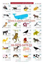 Bahasa arab anggota tubuh : Image Result For Bahasa Arab Nama Nama Hewan Dan Gambarnya Kata Learn English Quran