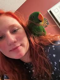 Hey y'all Perry has be Found I'm so happy he is reunited back with me I  went out calling out the names I call for him I was saying his favorite  words