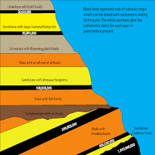 Fundamentals of radiometric dating involve the radioactive decay, determination of decay constant, accuracy and closure temperature. Isotopes Definition Quizlet