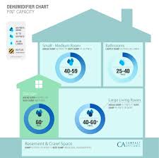 What Capacity Dehumidifier Do I Need