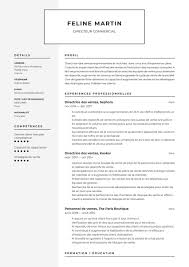 Exemples de lettres de motivation pour tout type de situation ✅ : Exemples De Cv Enseignante Cv Exemples Et Guide Gratuit 2021