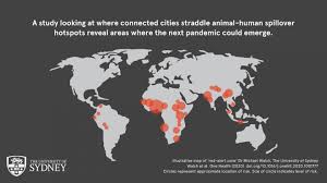 The set of 126 maps, which are part of the zoning resolution, are displayed in 35 sections. Researchers Calculate Where The Next Pandemic Could Start
