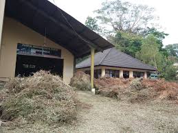 Minyak kayu putih diperoleh melalui proses penyulingan dengan mendinginkan uapnya proses pembuatan minyak kayu putih memanfaatkan perubahan wujud. Kayu Putih Proses Penyulingan Minyak Kayu Putih Di Kph Yogyakarta Teh Dan Ubi